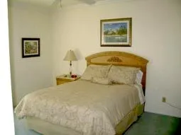 Master Bedroom (old carpet; has been replaced with laminate flooring)