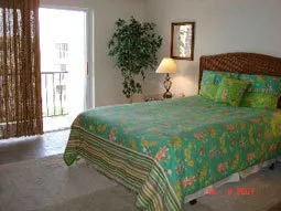 Gulf Shore Blvd. Bayfront Condo-Beach across street! photo 6