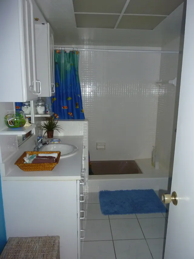 guest bath