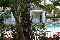 Beautiful Coach Home on a Lake in N. Naples photo 8