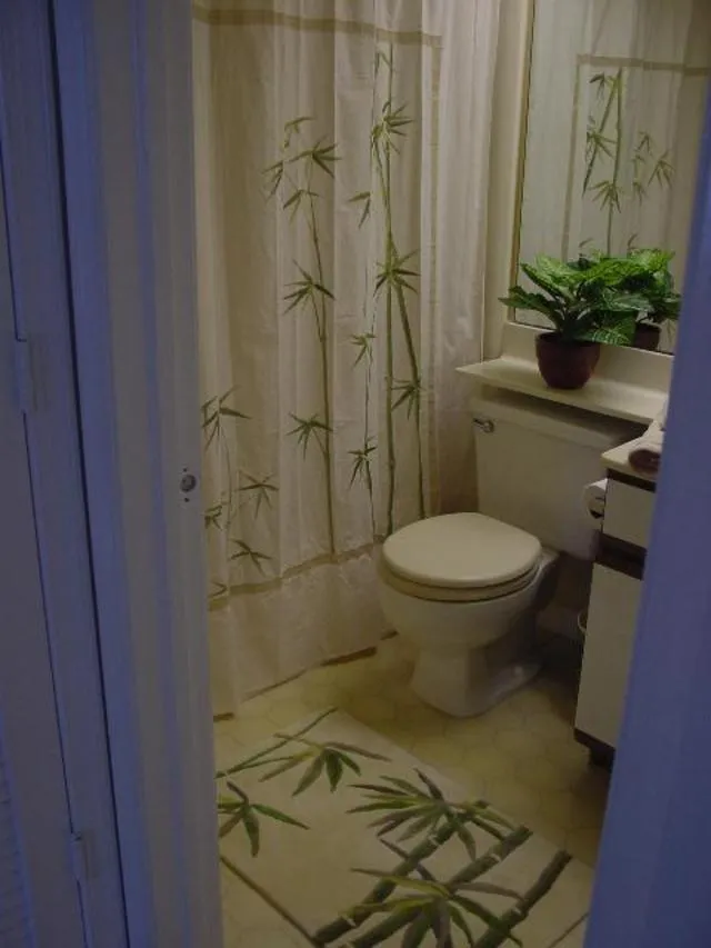 Guest Bath.