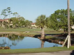 A typical Florida morning, viewed from the Lanai