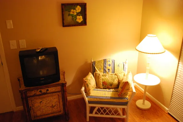 TV in Guest Bedroom