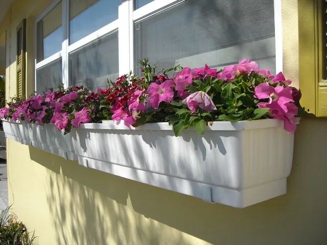 Charming window boxes planted each season.