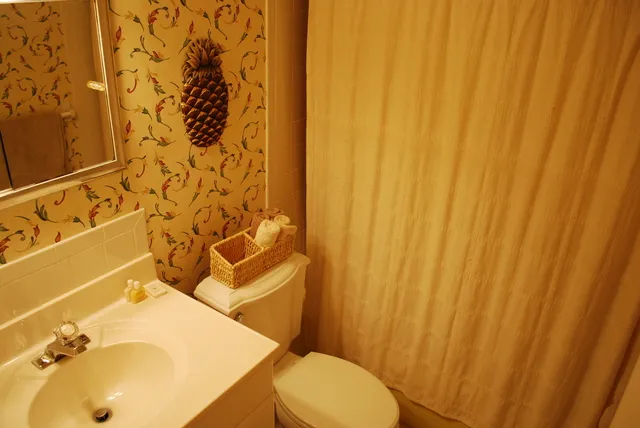 Guest bath, off the same small hallway as the guest bedroom.