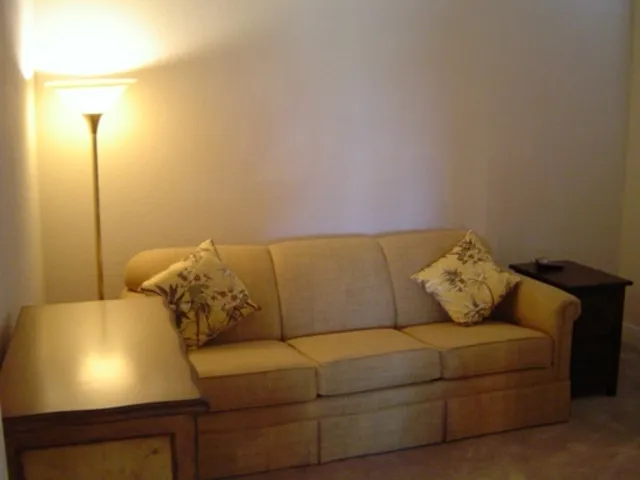 DEN CAN BE THIRD BEDROOM WITH QUEEN SLEEPER SOFA-HAS CLOSET