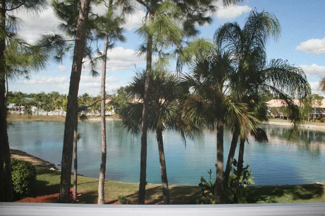 Breathtaking view of lake and pool from back lanai and master bedroom.