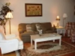 Lovely decorated living room with wood floors