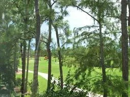 Southern view from the lanai