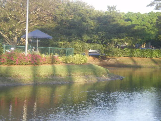 Lake View. At the back the big pool