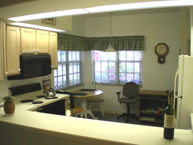 Kitchen view (no the best picture)
