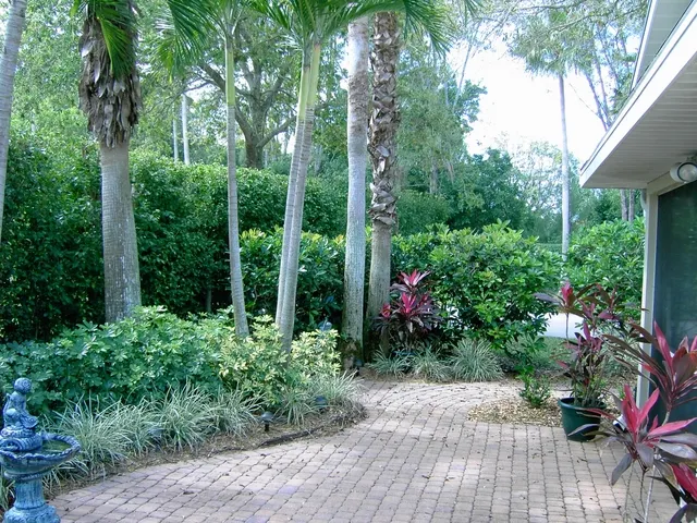 Shady garden