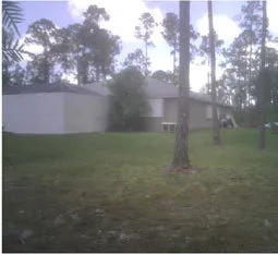 3 BD on 5 Acres next to Golden Gate Blvd., Ave Maria photo 1