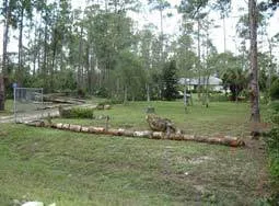 3 BD on 5 Acres next to Golden Gate Blvd., Ave Maria photo 2