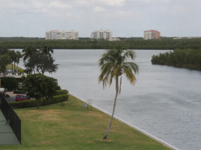 Real Views from the lanai