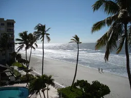 #402 view of beach & pool from lanai