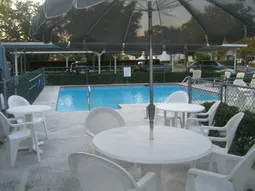 Resort Style Pool