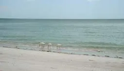 Naples Florida Property photo 1