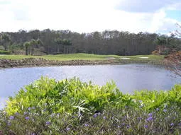 Golf course view