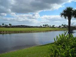 View from the rear of the condo building