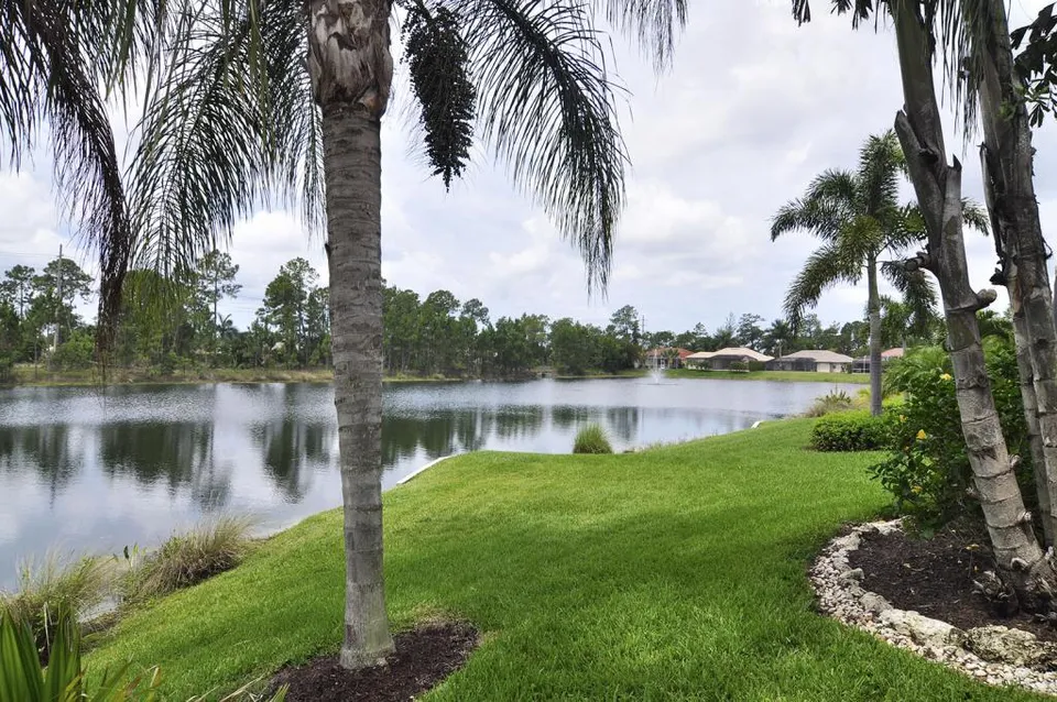 A view of the lake behind our house. We have enjoyed watching all types birds enjoying the tranquility of the lake or fishing for their food.