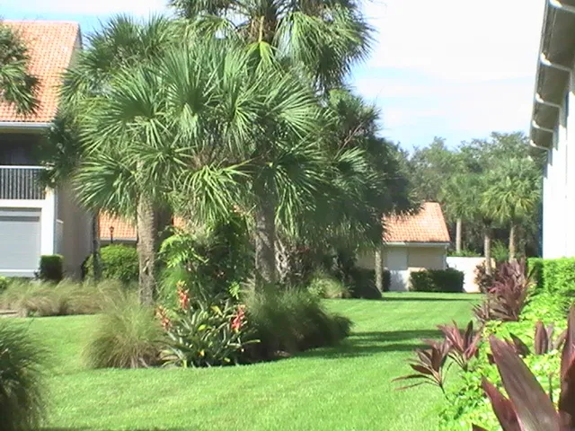 Gardens at the front of condo 