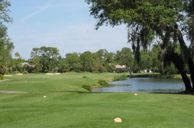 9th Fairway