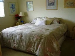Brand new very comfortable high end king bed in 3rd bedroom.