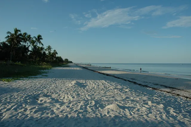 ...and on the beach!