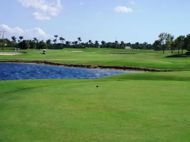 9th fairway