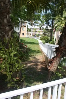 A tropical garden at your front door!!