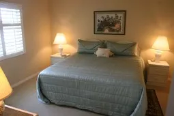 California king size bed and walk in closet in MBR.