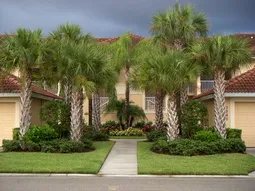 Welcome to our tropical oasis.
