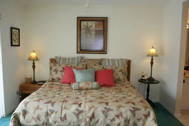 Relax and rest in the master suite with king size bed and walk in closet.