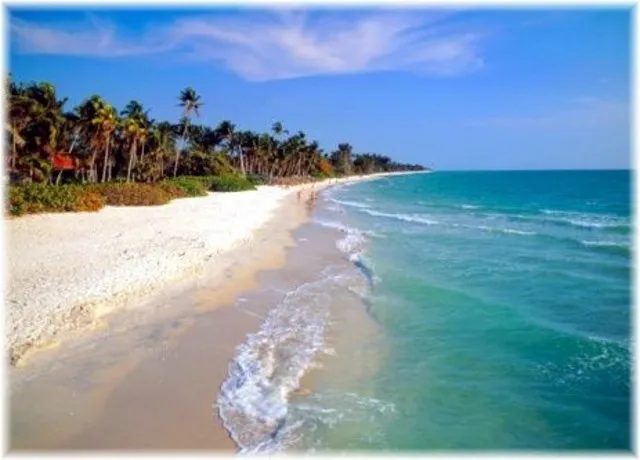 Sea shore