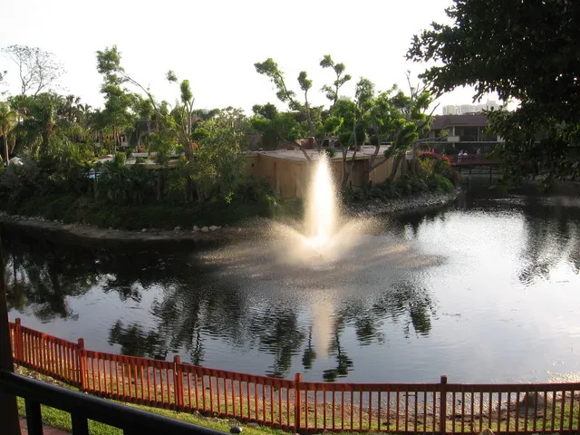 View from Balcony and Living Room