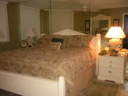Master bedroom with walk-in closet
