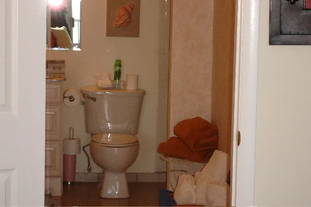Master Bathroom #1