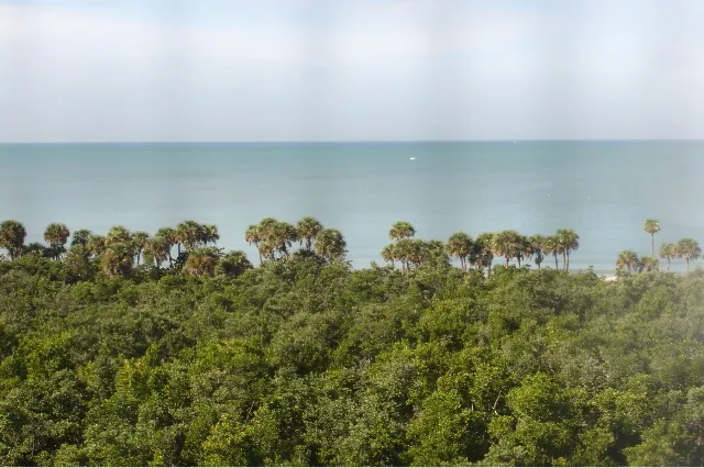Gulf View and Delnor Wiggins State Park