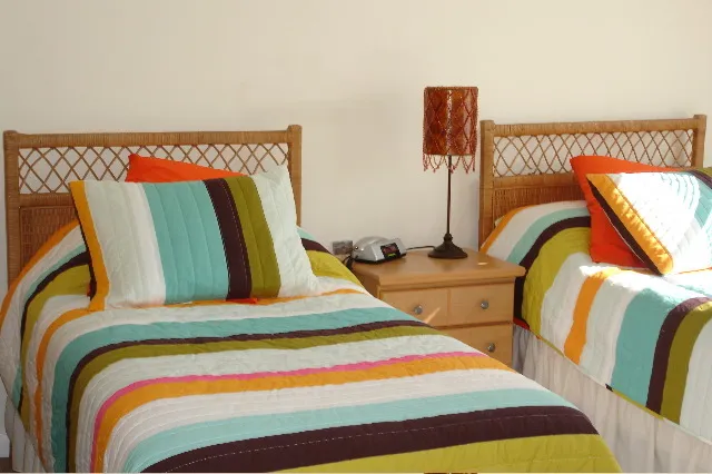 3rd Bedroom with 2 twin beds