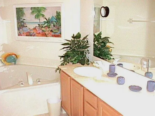 Master bath with double vanities, soaking tub,separate shower and commode