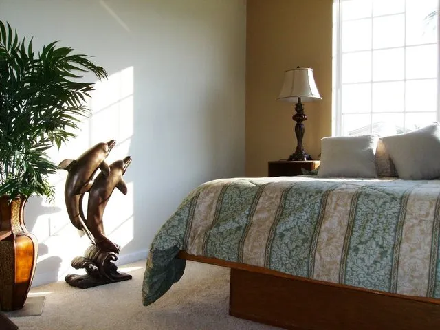 Master bedroom with King bed and television.