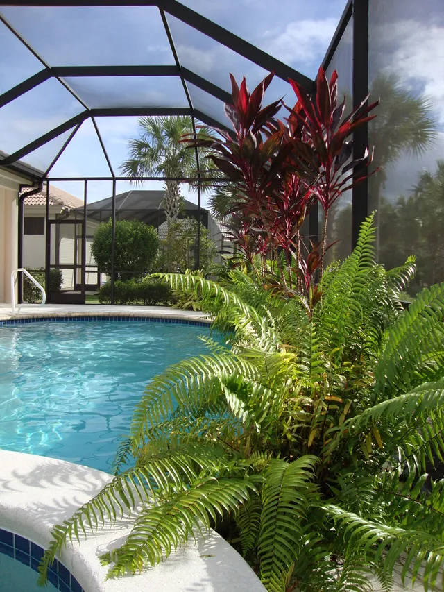 Another view of the pool