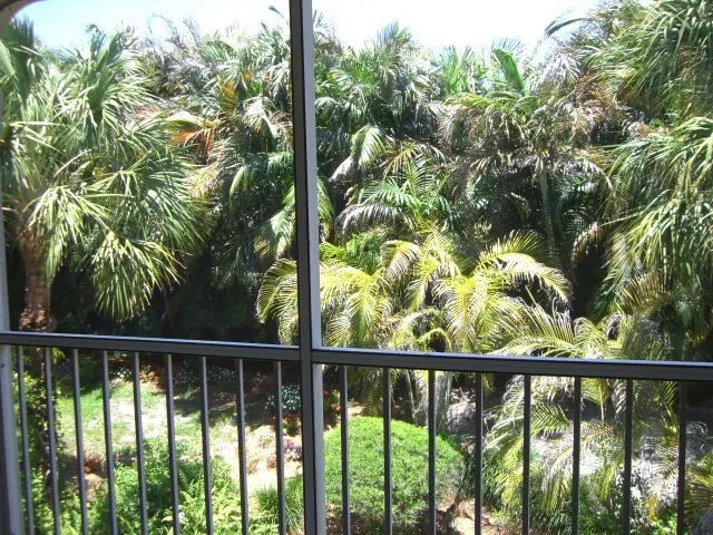 Lenai with preserve view