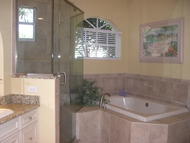 Master Shower & Tub