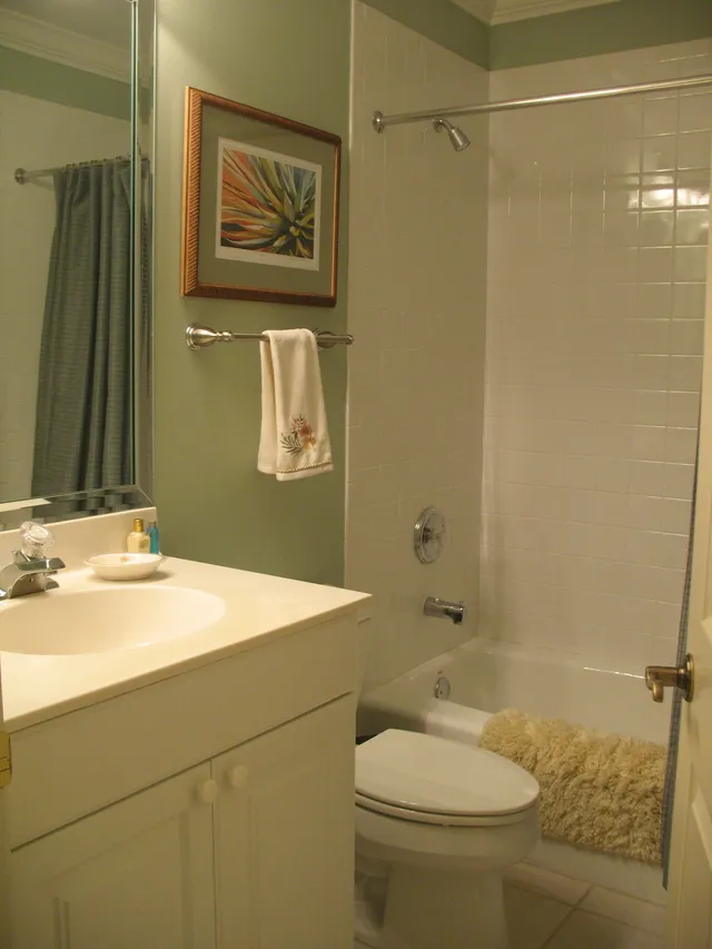 Guest bathroom